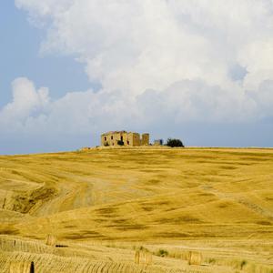 亚洲屁股眼交10
